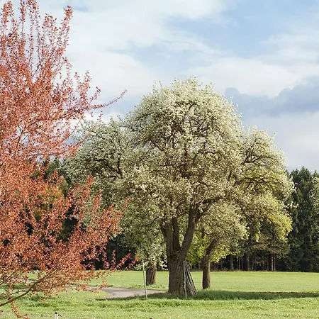 Villa Willi'S Bauernhof Leiben Esterno foto
