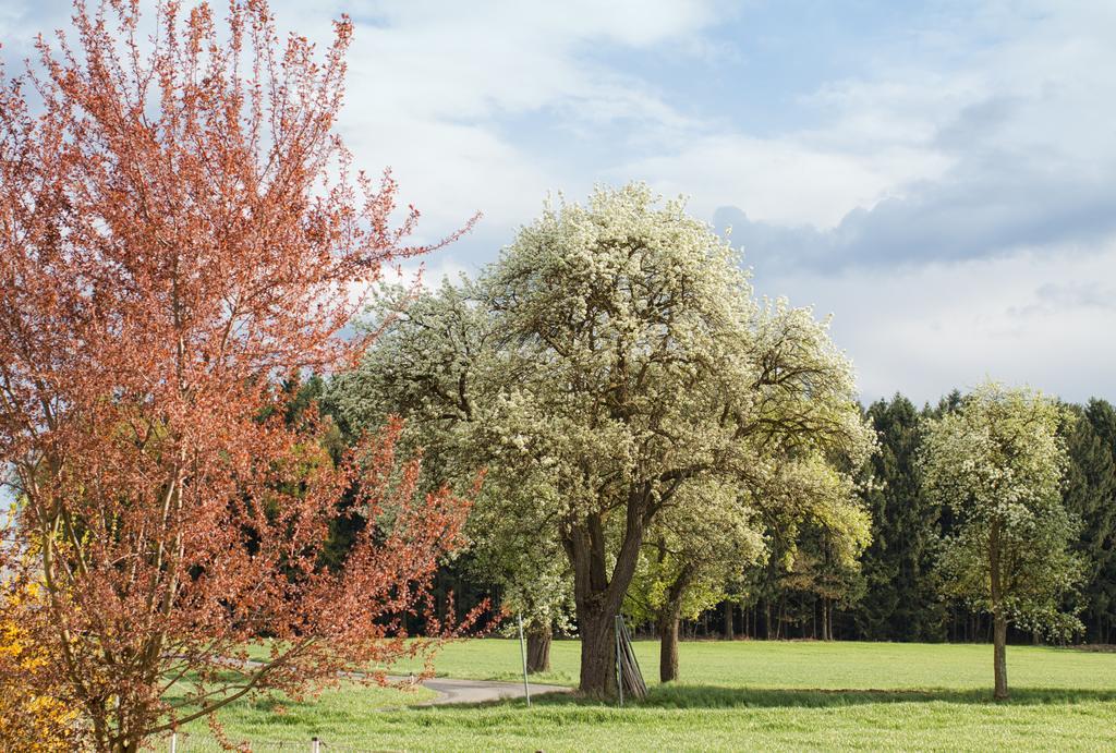 Willi's Bauernhof Farm stay Leiben