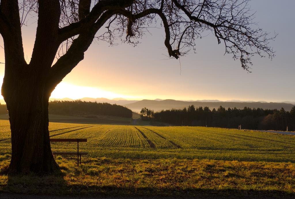 Farma Willi's Bauernhof