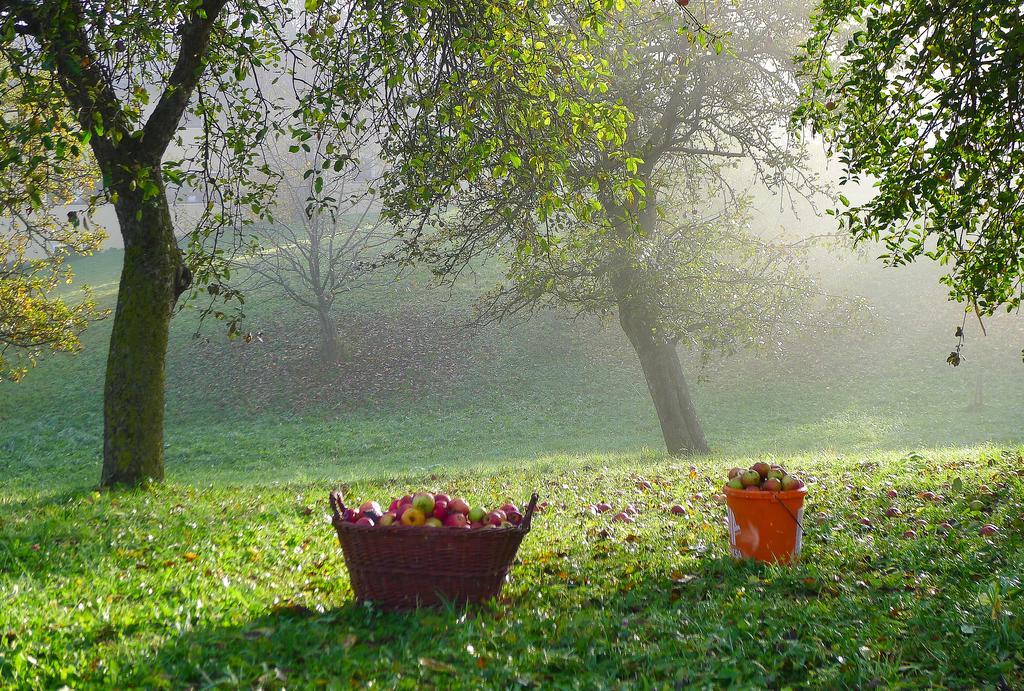 Willi's Bauernhof Farm stay Leiben