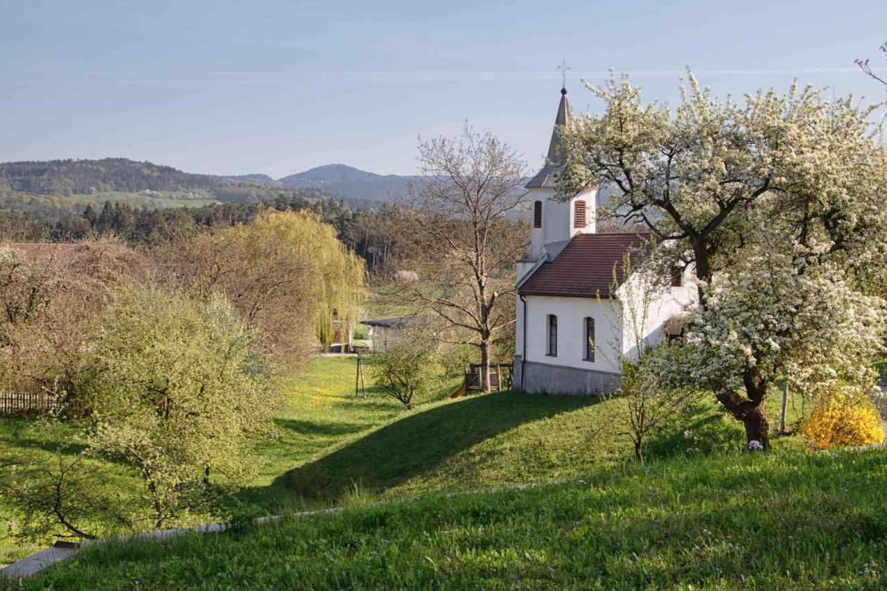 Willi's Bauernhof Farm stay